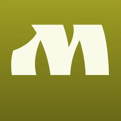 Magshou, студия праздника, лого-визитка