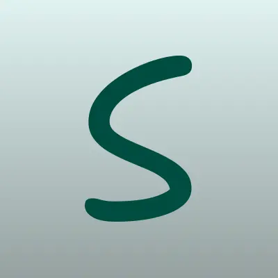 Софт-Сервис, IT-компания, лого-визитка