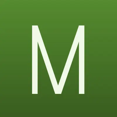 Магнитострой