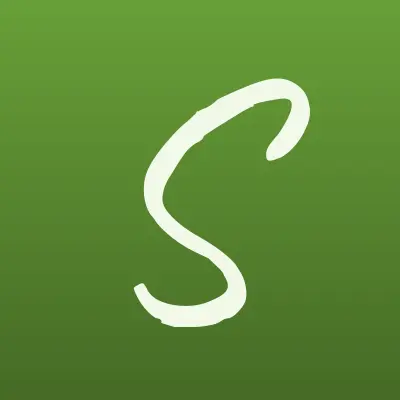 Сильвер сити